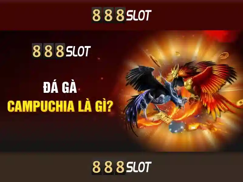 An toàn và bảo mật\n