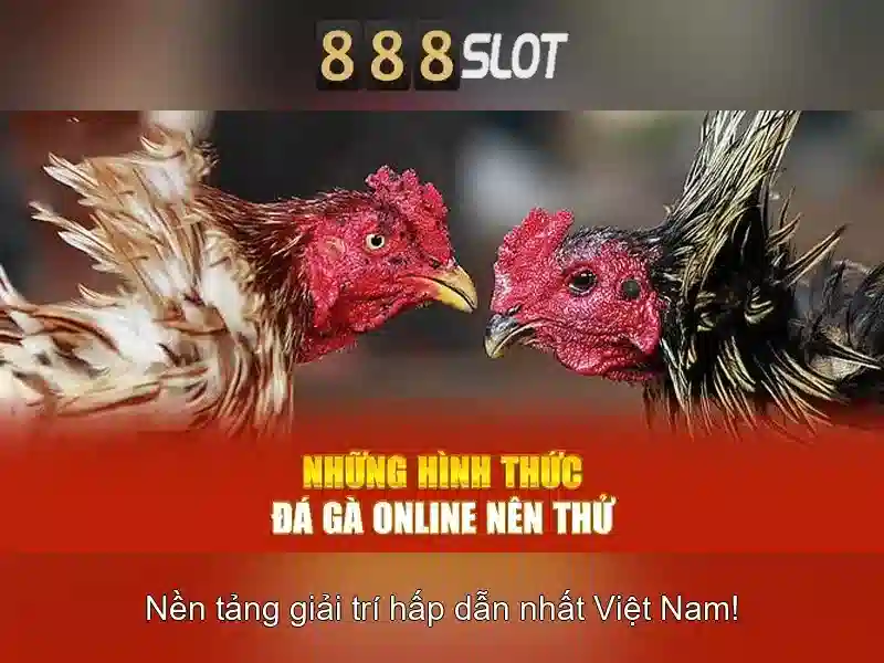 Khuyến mãi và chăm sóc khách hàng