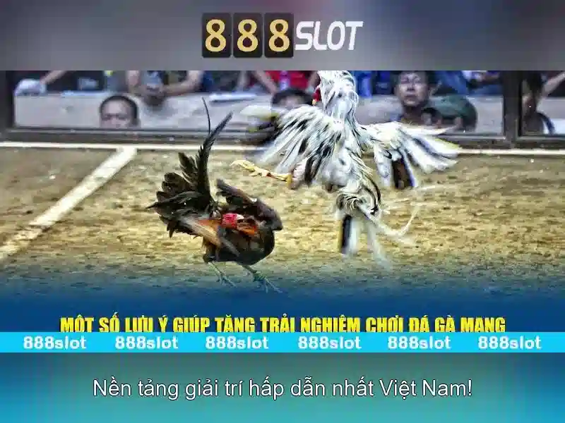 Khuyến mãi và chương trình thưởng\n