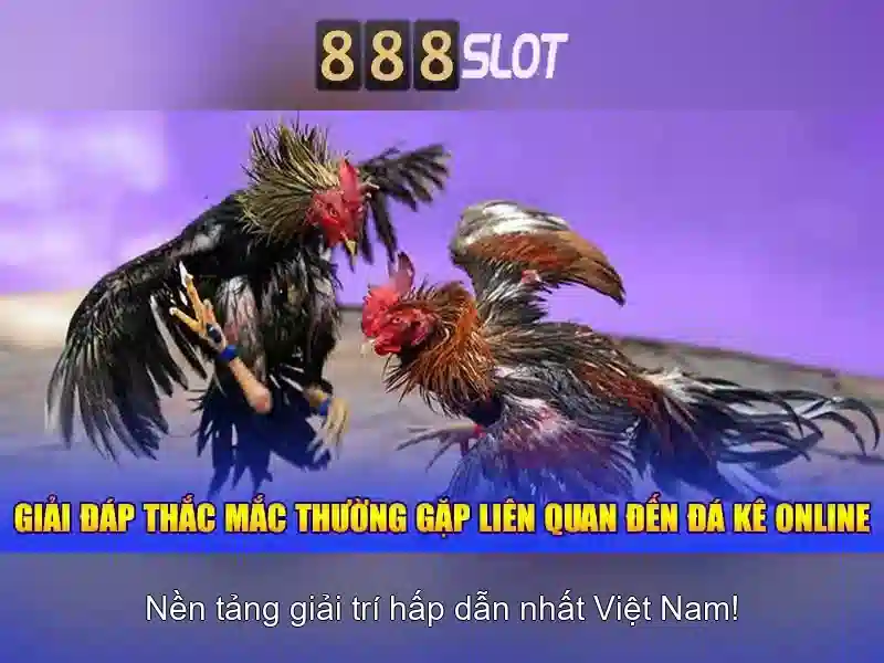 Các trò chơi đa dạng Các trò chơi đa dạng