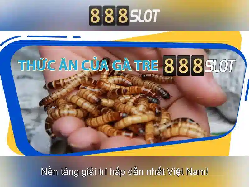 Giao diện và trải nghiệm người dùng\n