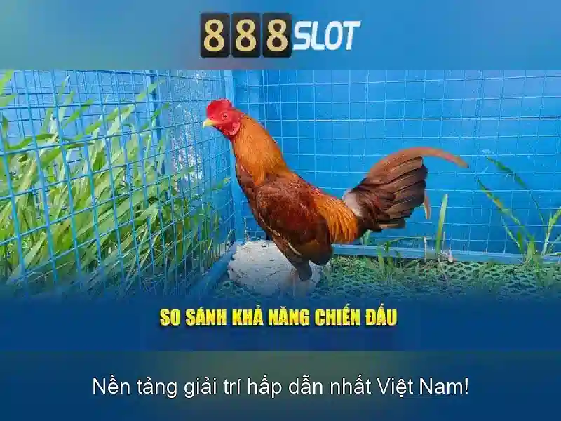 Sản phẩm và dịch vụ cốt lõi: ứng dụng thực tế của situs 888 slot