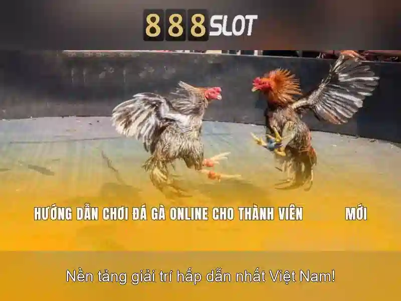 Khuyến mãi và chương trình ưu đãi\n\n